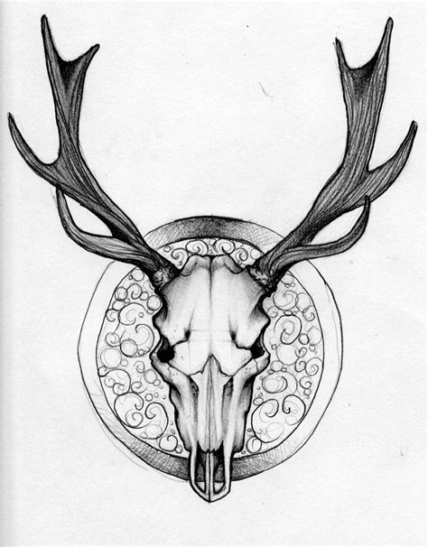 Drawings Of Deer Skulls | Free download on ClipArtMag