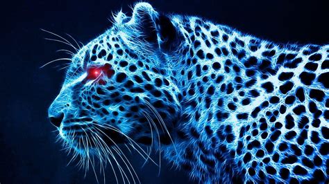 Cool Cheetah Wallpapers - Top Free Cool Cheetah Backgrounds ...