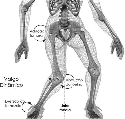 Anatomia do Poplíteo - Instituto Fortius