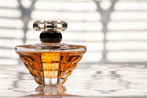 10 Most Expensive Perfumes You Can Buy | Viora London