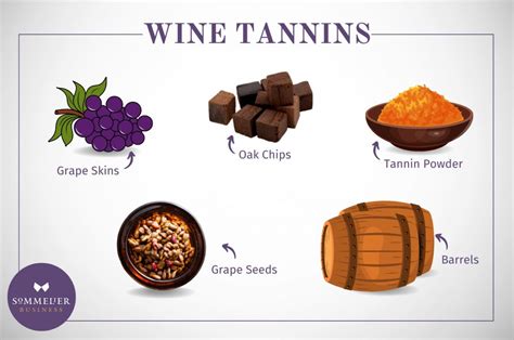 Tanin – Tannin Là Gì - Mundo Wine - Rượu Vang Nhập Khẩu