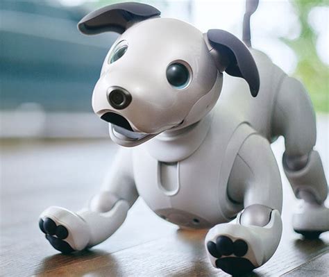 Sony’s Aibo Robot Dog Is Super Smart, Super Cute, AI Loyal And Super ...