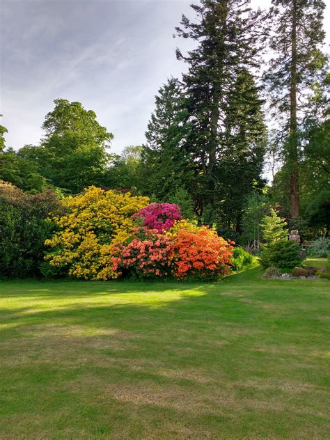 Anticipation in the Gardens at Higham Hall – Marion Boddy-Evans