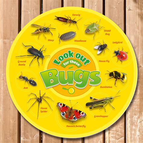 Bug Identification Sign, Circular - Perfect for School Nature Areas