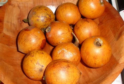 10 Health Benefits of African Star Apple ( Agbalomo ) + Recipes - Naijalife Magazine