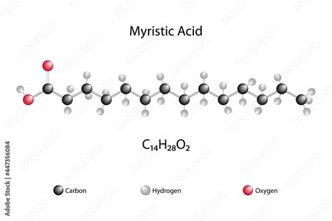 Molecular formula of myristic acid. Chemical structure of myristic acid ...