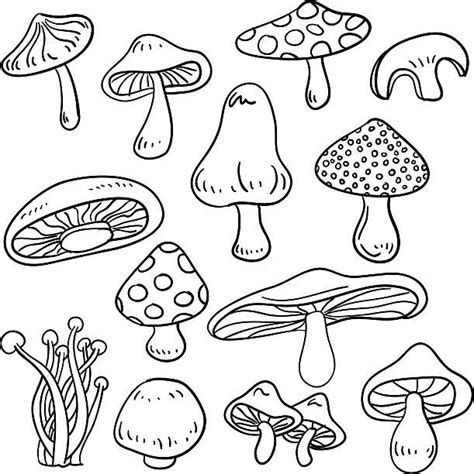 Illustrations, Royalty-Free Vector Graphics & Clip Art - iStock | Line art drawings, Mushroom ...