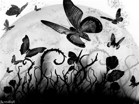 🔥 [70+] Black Butterfly Wallpapers | WallpaperSafari