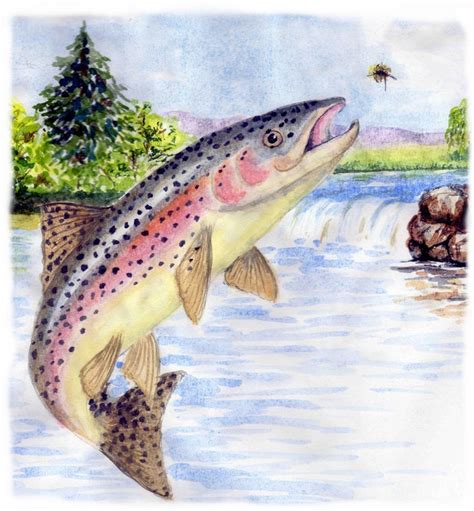 trout fishing #troutfishing | Trout painting, Trout art, Fish artwork