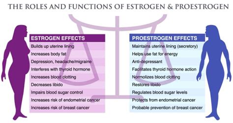 Maynard Pest Control Hickory Nc: Birth Control Estrogen And Progesterone