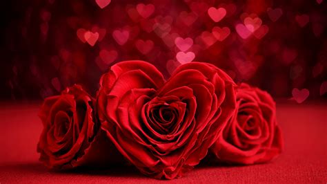 Image Valentine's Day Heart Red rose Flowers Three 3 3840x2160