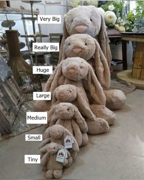 Jellycat Bashful Bunny Size Comparisons in 2024 | Jellycat stuffed ...