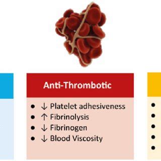 Different domains of cardioprotective effects of habitual physical... | Download Scientific Diagram