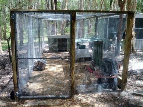 Quail Cage Simple Plans