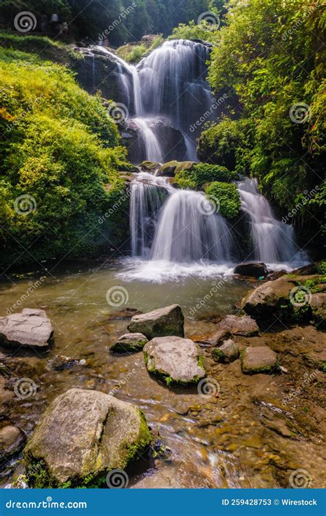 Rock Garden Waterfall stock image. Image of stream, nature - 259428753