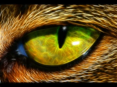 Animal Eye wallpaper | 1600x1200 | #74399