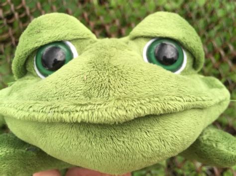 Froggy (plush) | FKoKFII | Fandom