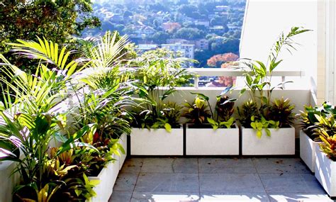 Balcony Plant Pots Sydney | Lightweight | Terrace Outdoor Living