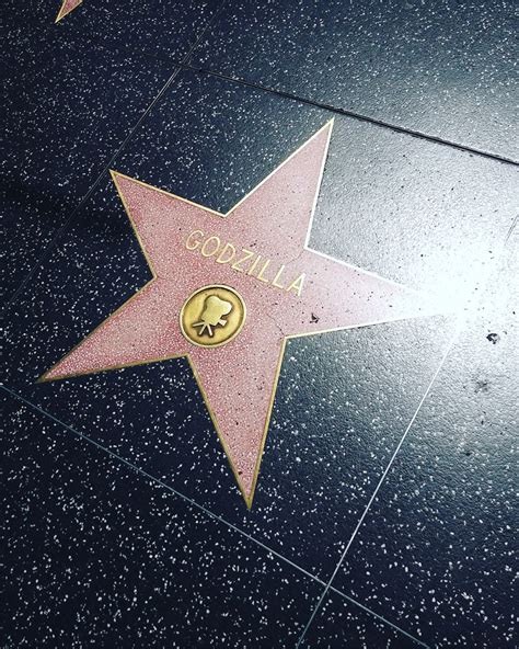 Hollywood, California Hollywood Walk Of Fame Star, Hollywood California ...