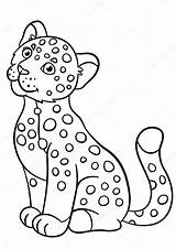 Jaguar Cat Coloring Page sketch template
