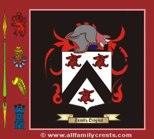 York family crest and meaning of the coat of arms for the surname York, York name origin