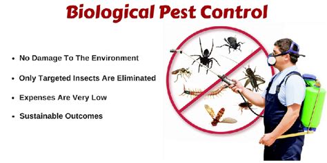 Biological Pest Control And Its Benefits - Magazines Weekly - Easy way to stay updated