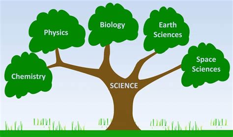 Branches of Science | Good Science | Branches of science, Science ...