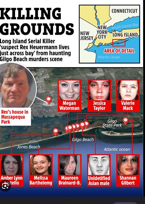 The Long Island Serial Killer Case - by Peter Blauner