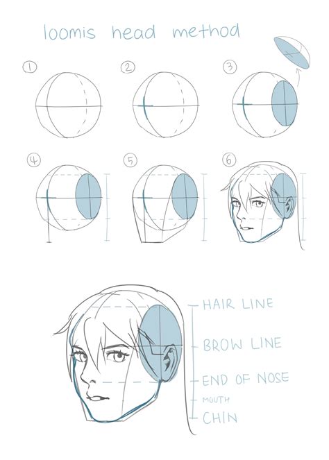 Face Anatomy Drawing Anime | DRAW IT OUT