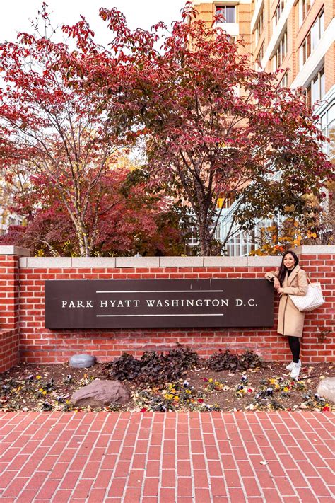 Where to Stay: Park Hyatt Washington D.C. - The Luxury Lowdown