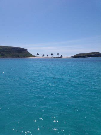 Abrolhos Marine National Park (Alcobaca) - 2021 All You Need to Know ...