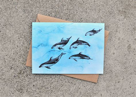 Pacific White-Sided Dolphin - Ocean Series – Natasha van Netten Designs