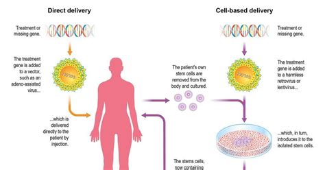 Delivering gene therapy | Feature | Chemistry World