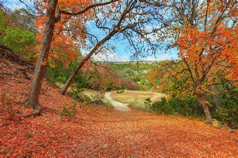 Trails of Lost Maples in Fall 1 Photograph by Rob Greebon - Fine Art America