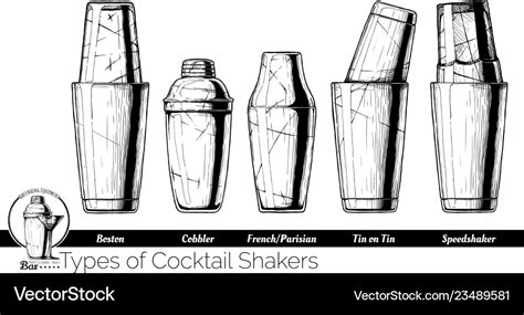 Cocktail shakers types Royalty Free Vector Image