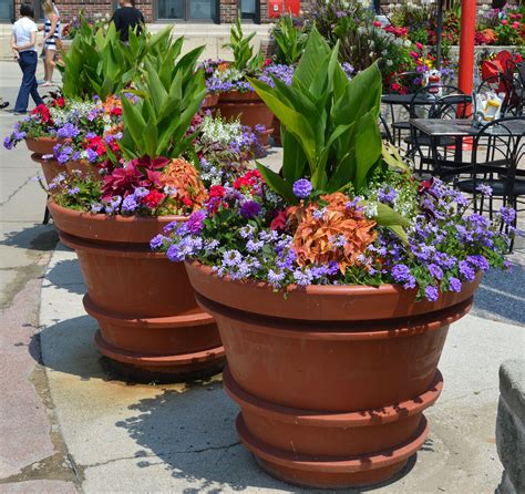 large containers, summer annuals, full sun, repetition of design Full Sun Container Plants ...