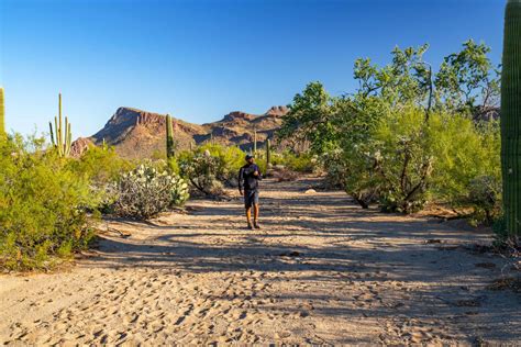 10 INCREDIBLE Saguaro National Park Hikes (Photos+Video)