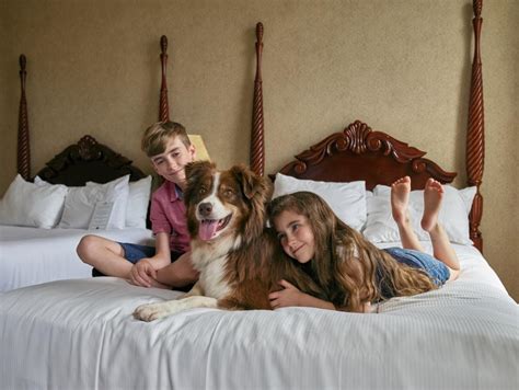 Pet Friendly Hotels In Indiana