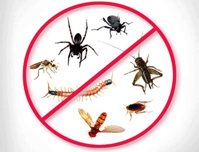 Pest Control Products and Advice - Muskoka Pest Control