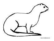 Otter Coloring Pages