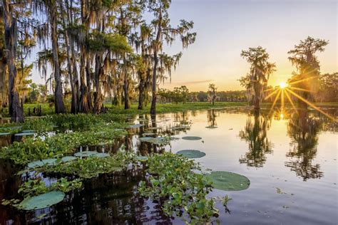 An amazing Atchafalaya Basin sunrise – Andy Crawford Photography