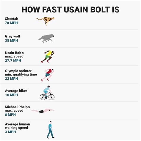 This is how Usain Bolt's top speed compares to Michael Phelps, a cheetah, and more | Insider ...