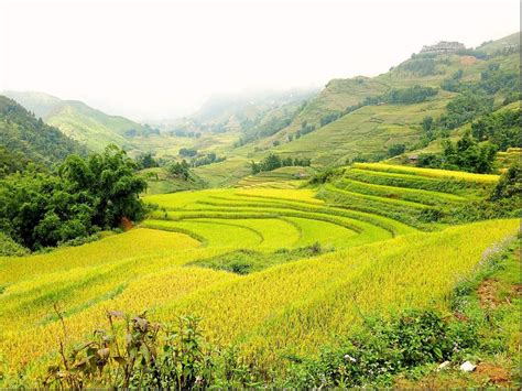 Everything You Need To Know About A Sapa Hike in Vietnam!