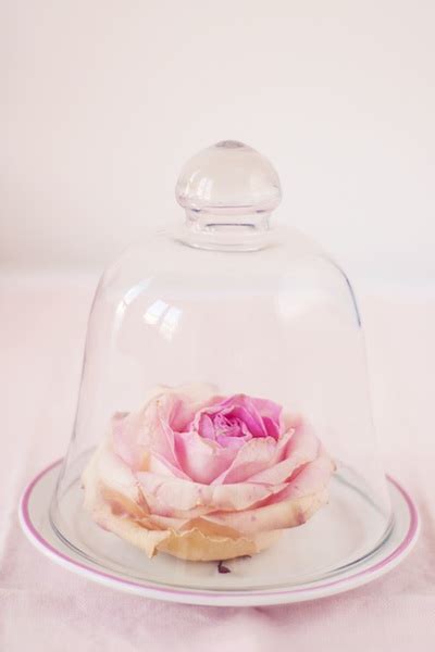 Wedding Decor Trend: The Bell Jar