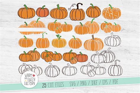 Pumpkin Svg Pumpkin Patch Svg Pumpkin SVG Bundle Pumpkin - Etsy