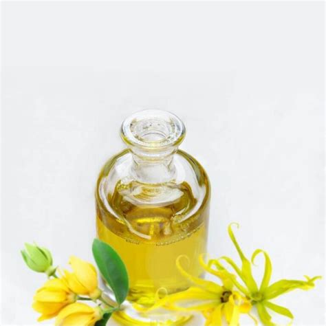 Ylang Ylang Essential Oil - Elsie Organics - Formulation Ingredients Shop Nigeria