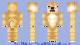 Doge Minecraft Skin