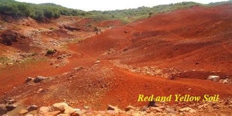 Red and Yellow Soil in Indian Subcontinent - QS Study