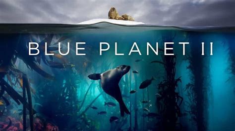 Planet Earth II (2016) | Watch Free Documentaries Online