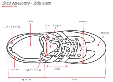 Shoe Anatomy Guide - 40+ Different Parts of a Shoe with Names & Images